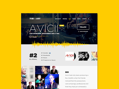 The DJ List: DJ Profile avicii bright color color scheme dance dj edm iconography web design