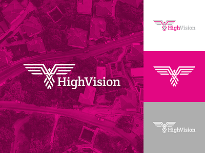 Highvision Logo Design 🦅 bird brand brand identity branding clean concept flat graphic design identity illustrator logo logodesign mark vector