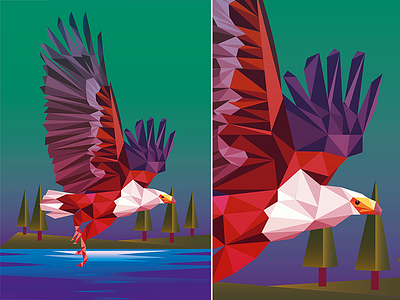 Eagle_Low Poly art eagle illustration low poly lowpoly lowpolyart product illustration