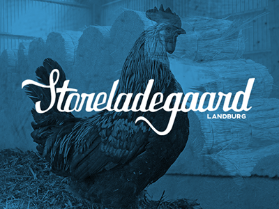 Storeladegaard Logo lettering logo