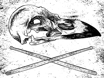 Bird Skull & Drum Sticks artwork metal sticks drum skull bird illustration ink