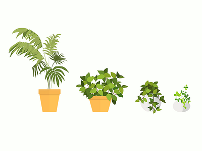 Plants botanical flat green illustration leaf leaves nature plants tree vector