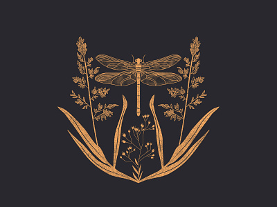 Dragonfly digitalart dragonfly illustration art nature logo vintage font