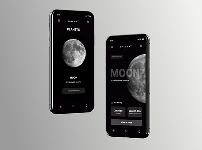 Space X - Resorts Booking App 3d black blackandwhite booking app cosmos framer grayscale grey mars moon nasa planet planets resort rocket space space x spacex travel app white