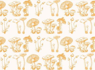 Forest mushrooms set design forest illustration mushrooms vector