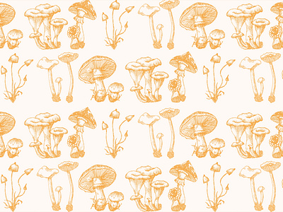 Forest mushrooms set