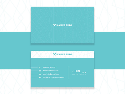 Business Card - Professional Look