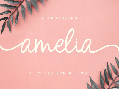 Amelia Monoline Script abc alphabet calligraphy collection design font graphic hand letter lettering monoline script set sign symbol text type typography vector vintage