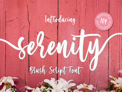 Serenity Script abc alphabet calligraphy collection design font graphic hand letter lettering script set sign symbol text type typography vector vintage