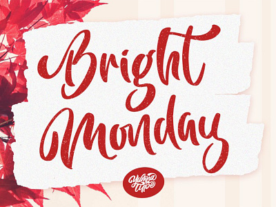 Bright Monday Script abc alphabet brush calligraphy design drawn font graphic hand handwritten lettering modern script sign style symbol text type typography vector