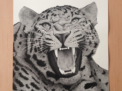 Leopard a3 animal black dots illustration leopard lines rotring stippling