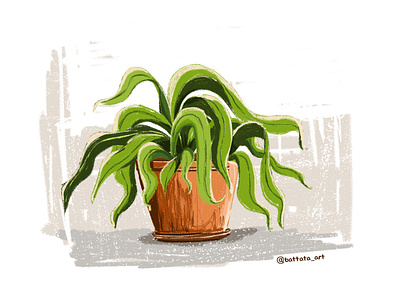 Plant Study - bamboo plant