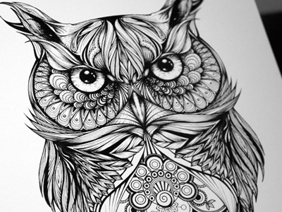 Gregor The Owl birds detail drawing eyes feathers illustration intricate nature owl paper pen