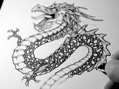 Dragon Tattoo black and white detail dragon drawing hand drawn illustration pen tattoo