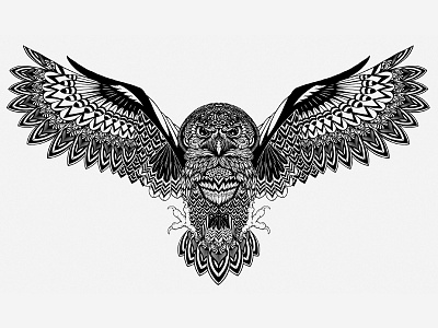 Mr Black Coffee Liqueur bird black and white detail drawing eyes hand drawn illustration owl panama pen pencil