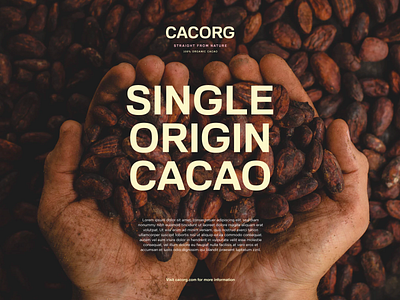 Cacao Organics brand branding cacao local minimal natural organic raw small business vegan