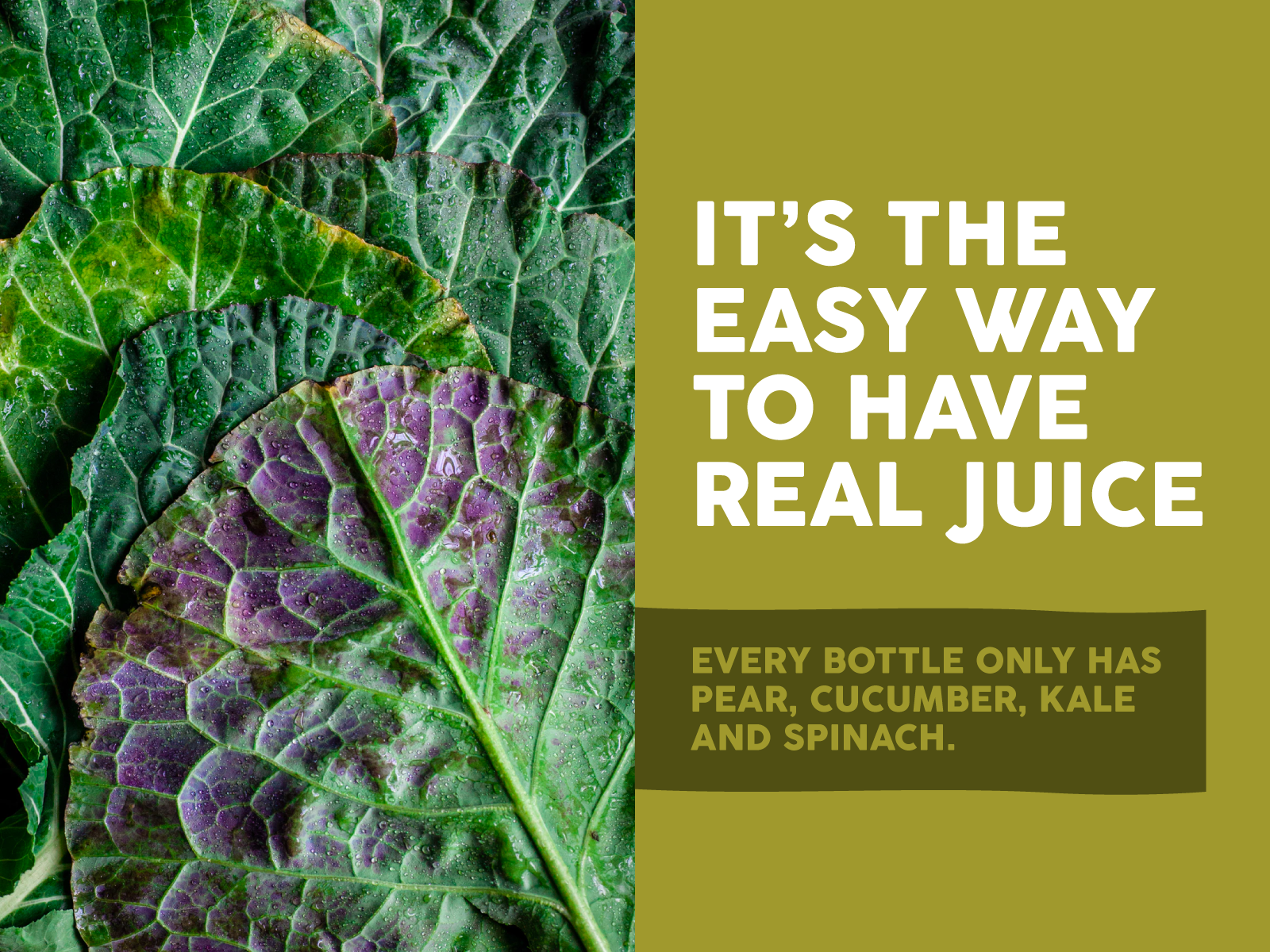 Featured image of post All Real Juice Png - Choose from 8400+ juice graphic resources and download in the form of png, eps, ai or psd.