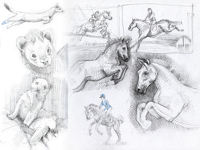 preps draft drawing ferret hand drawing hatching horce illustration pencil pencil drawing prep ride sketch sketches sketching