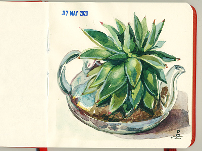 Plant in glass pot from live art book illustration dtawing editorial illustration plant pot sketch sketchbook sketching traditional watercolor watercolour