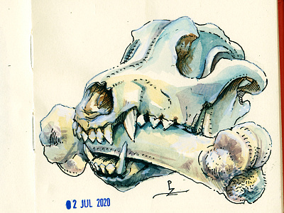 dog and bone art bone daily practice dog dog illustration hand drawn ink and watercolor sketch sketchbook sketching skull skullyjuly skullyjuly7 traditional urban sketching warercolor watercolour