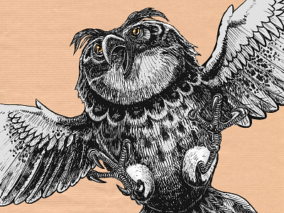 Attacking owl cross hatching illustration ink isograph owl woodcut