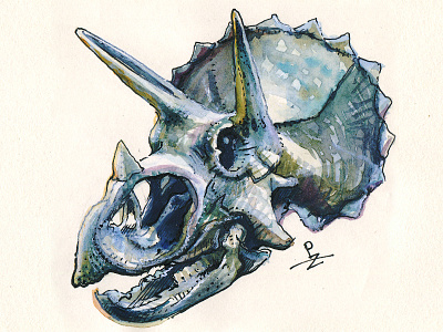 triceratops 💀 character character design dinosaur editorial illustration fossil graphic hand drawn illustration art ink ink and watercolor packaging design packagingdesign sketching skull traditional art triceratops urban sketching watercolor drawing