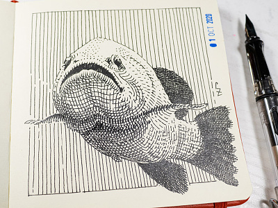 fish [ inktober 2020 ] crosshatching etching fish fountain pen ink ink drawing inktober inktober2020 sketch