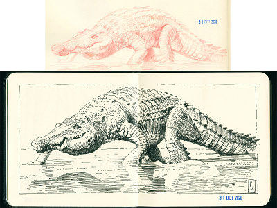 Croco redpencil-n-ink study [inktober 2020] alligator crocodile crosshatching drawing engraving etching graphic gravure hatching illustration ink ink drawing sketch sketchbook traditional art
