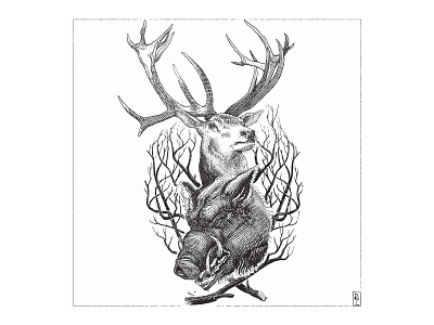 white stag drawing