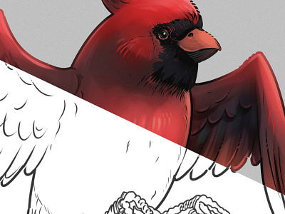 Cardinal tattoo cardinal bird design drawing illustration tattoo