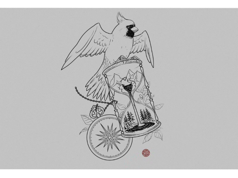 Cardinal Process 800pxl cardinal bird design drawing illustration tattoo
