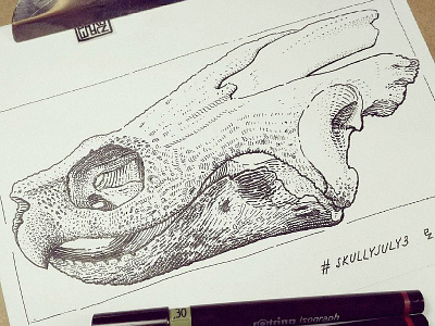 🐢 skull for #SkullyJuly3 art challenge black and white drawing etching graphic gravure illustration ink skull woodcut