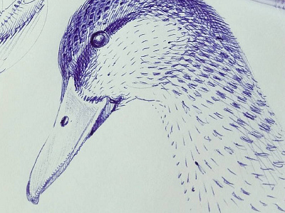 fun with ballpoint pen