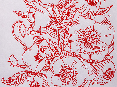 poppies doodle with red ink editorial etching graphic hatching illustration ink isograph rotring woodcut