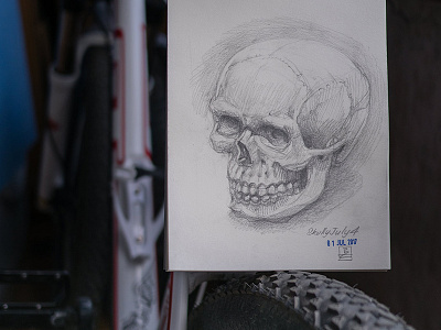 quick pencil sketch drawing pencil skull