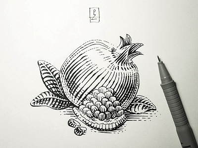 Inktober day 23. Juicy pomegranate editorial engraving etching food frui graphic hatching illustration ink inktober juice woodcut