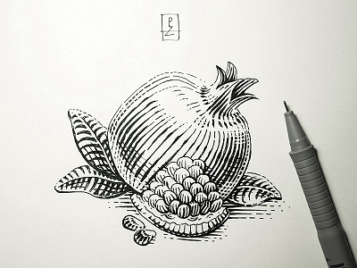 Inktober day 23. Juicy pomegranate