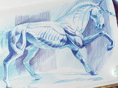 Écorché of the unicorn ballpoint pen bic4 doodle horse sketch unicorn