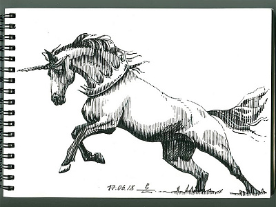 fineliner crosshatching doodle engraving fine liner horse micronpen sketch unicorn woodcut
