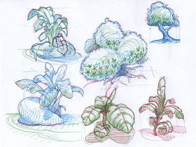 quick organics sketches ballpoint pen bic4color bush concept art cross hatching drawing etching illustration organics sketch tree