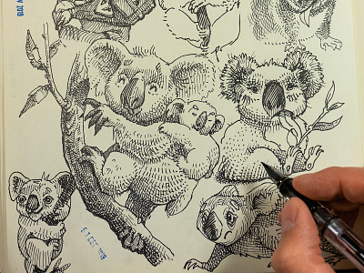 doodling koalas adorable character character design crosshatch cute doodle engrave fountain pen ink ink drawing koala sketch sketching
