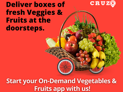 On demand fruits and vegetables app design illustration vector