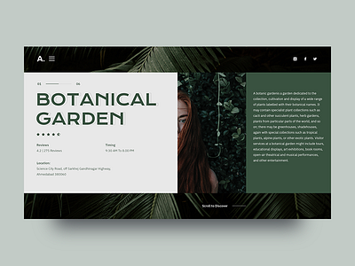 Ui Experiment #46 experiment font free homepage landing mondrianizm typography ui unsplash ux website young serif