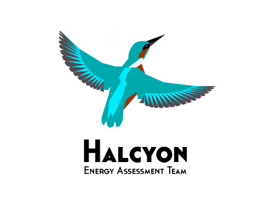Halcyon Logo v1.0 bird halcyon kingfisher logo