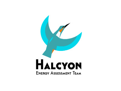 Halcyon logo v1.b alternative approach bird kingfisher logo logotype