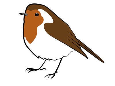 Robin animal bird illustration nature vector
