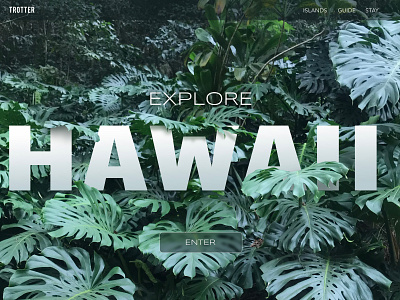 Hawaii landing page travel ui ui design user interface design