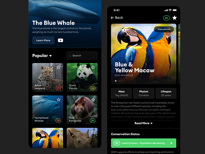Endangered Animals Resource animals app app branding application design endangered redesign ui
