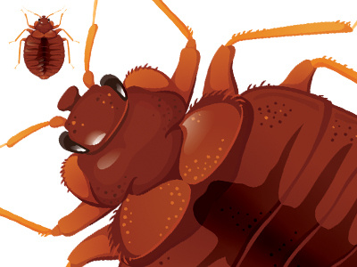 Yucky bug. bug illustration insect