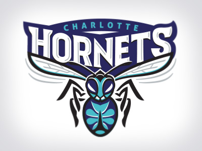 Charlotte hornets concept 2 by Lindsey Kellis Meredith on Dribbble